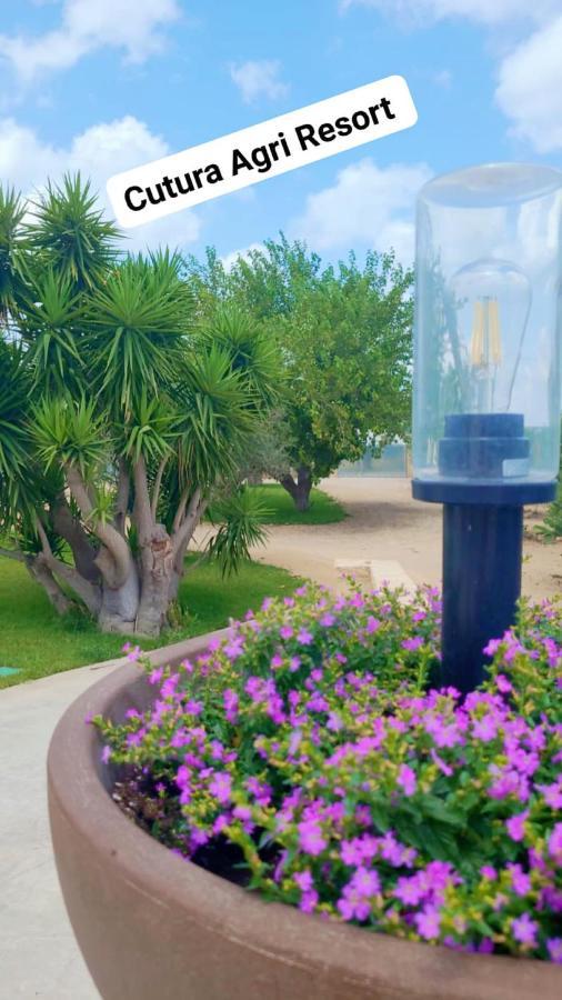 Agriturismo Cutura Agri Resort بارابيتا المظهر الخارجي الصورة
